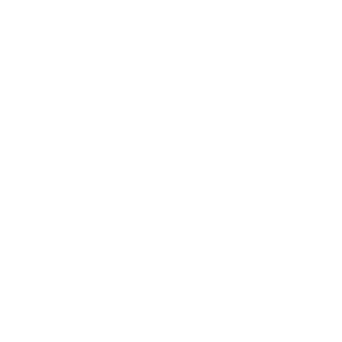 Feishu